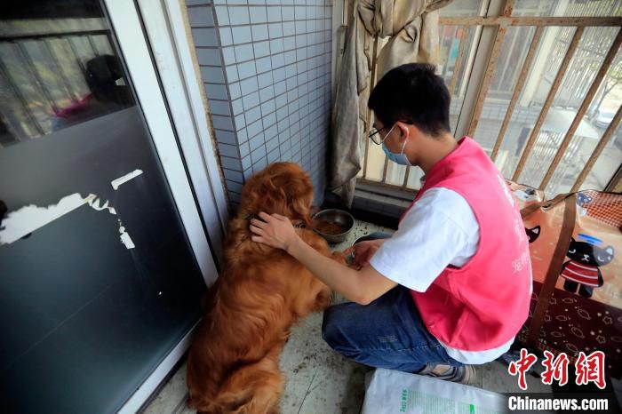 陈聪为“奥巴”换水添粮。　王磊 摄