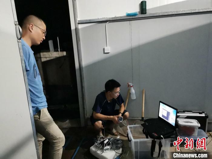 养虾团队默默扎根在上海郊区，攻克陆地养虾技术难关。　上海海洋大学供图