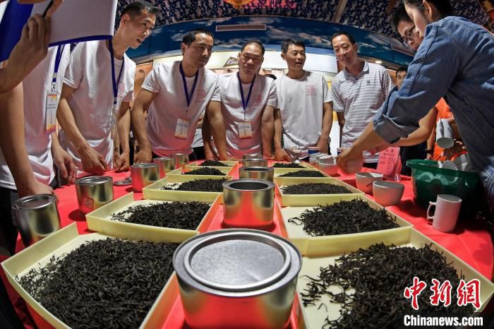 资料图：福安市坦洋工夫杯斗茶赛现场。　郑祖辉 供图