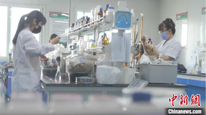 近年来，兰州高新区吸引了越来越多的人前来逐梦。图为科研人员在兰州高新区区域内的企业做实验。(资料图) 兰州高新区供图