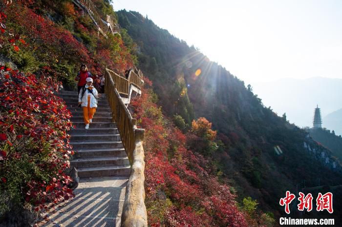 图为游客在巫山文峰景区观赏红叶。(资料图) 何蓬磊 摄