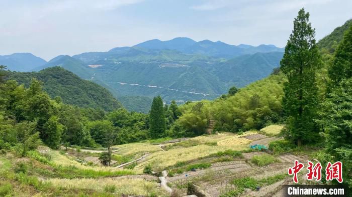浙江某地美丽乡村。　钱晨菲 摄