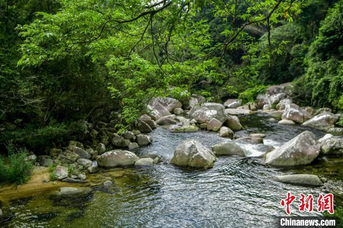 海南热带雨林国家公园吊罗山片区的溪流。　骆云飞 摄