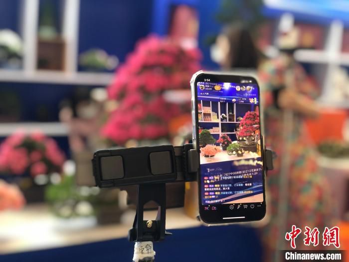 花乡沭阳的盆景也被搬到开幕式现场。　刘林 摄