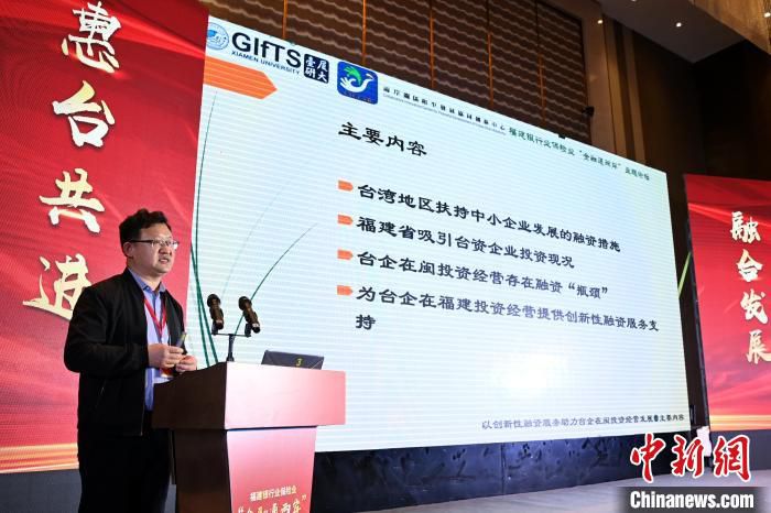 厦门大学台湾研究院经济研究所所长王勇作《以创新性融资服务助力台企在闽投资经营发展》的主题发言。　张金川 摄