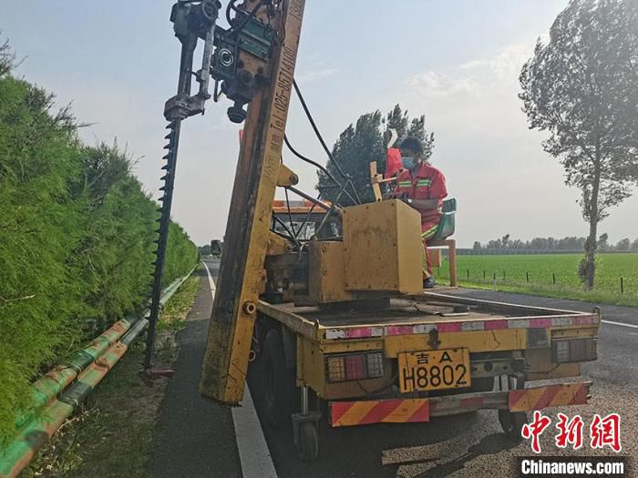 董明使用绿篱修剪车修剪高速公路中央分隔带绿植。　李丹 摄