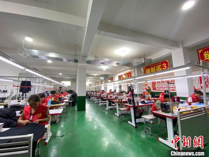 图为生产车间。　受访者供图