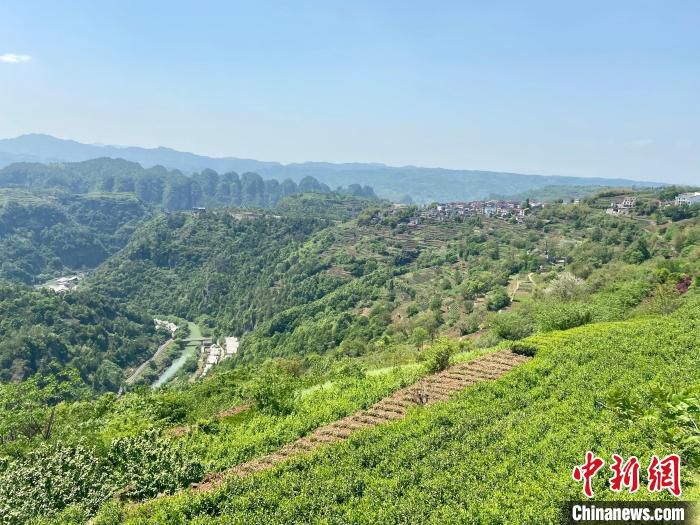 新昌山区风貌 项菁 摄