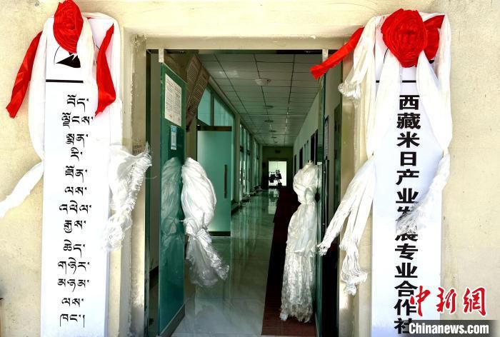 图为日前揭牌成立的米日产业发展专业合作社。　旦罗 摄