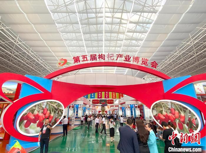 博览会现场。　杨迪　摄