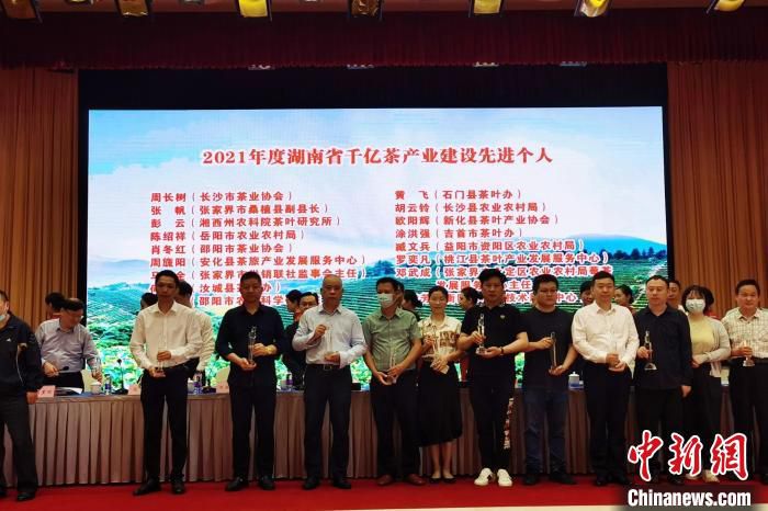 主办方为湖南省千亿茶产业建设先进个人颁奖。　湖南省茶业协会供图