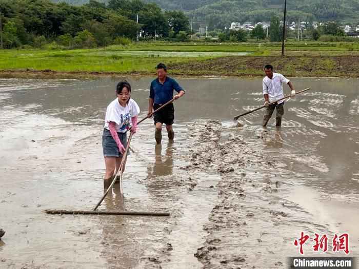 6月13日，回村女青年黄崔佳向村民学习平田技术。　潘成 摄