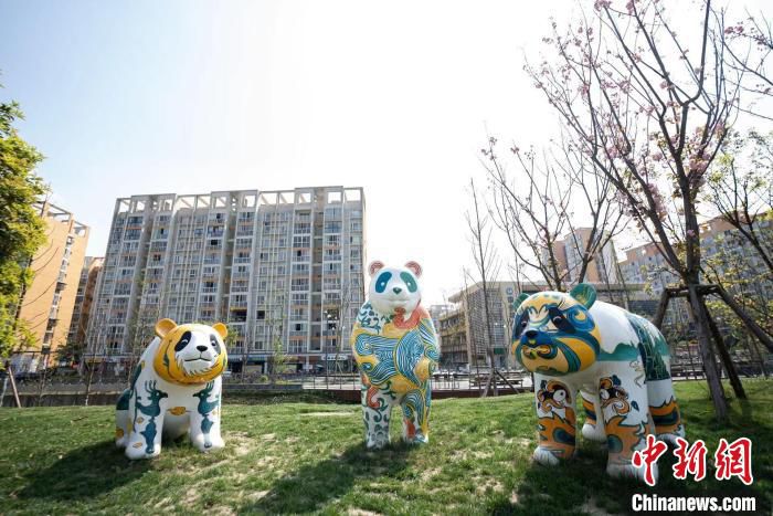 大运村随处可见大熊猫。　成都大学供图