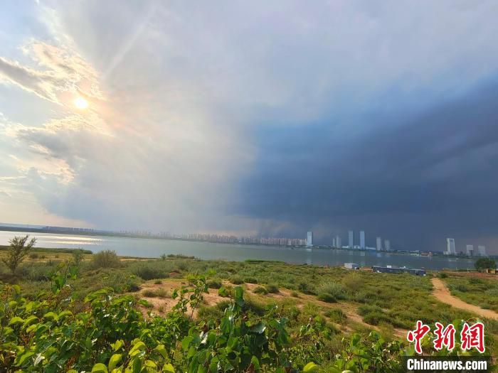 图为远眺鄂尔多斯市红海子湿地(资料图)。　张林虎 摄