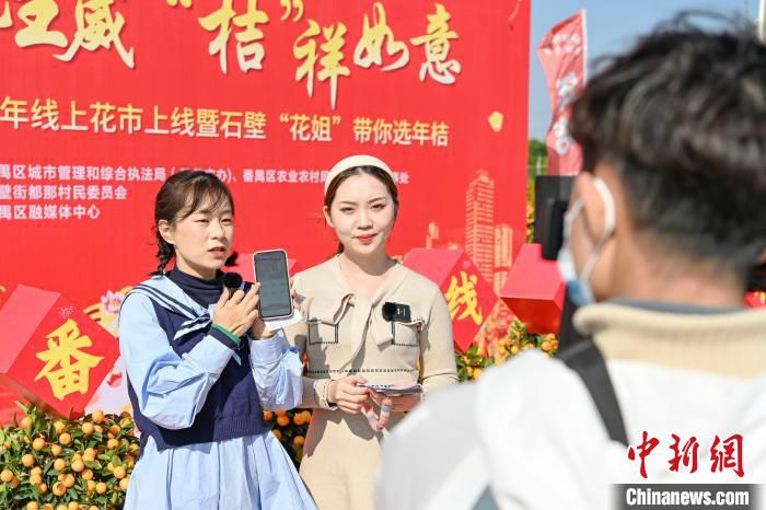广州多地启动迎春“云上花市” 陈骥旻 摄