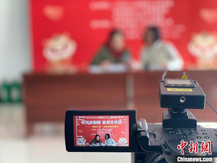 图为河北省廊坊三河市一场网络直播招聘会现场。　高澍 摄