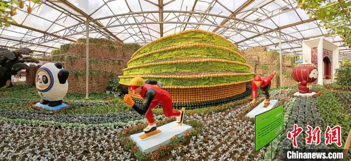 图为菜博会现场的“一起向未来”主题展。　刘敏 摄