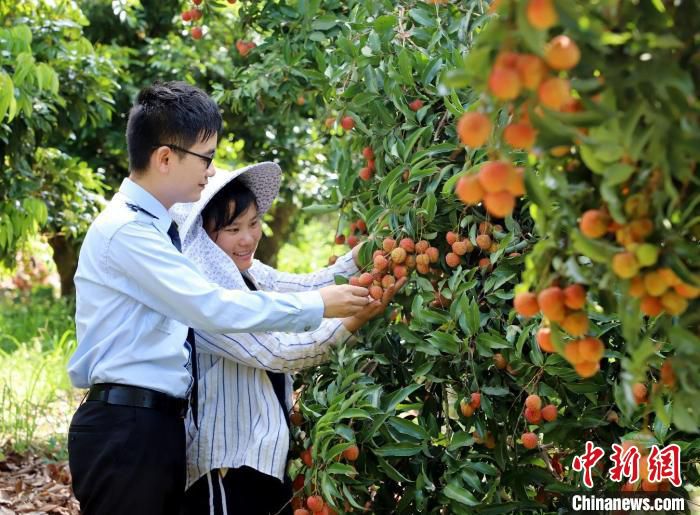 图为税务干部走访现代农业产业园，宣传涉农税收优惠政策。　马接清 摄