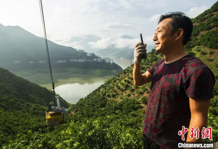 泄滩乡陈家湾村村民王毅轩通过对讲机指挥空中索道转运夏橙。　郑家裕 摄