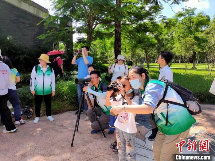 广州海珠国家湿地公园开展观念活动 广东省林业局 供图