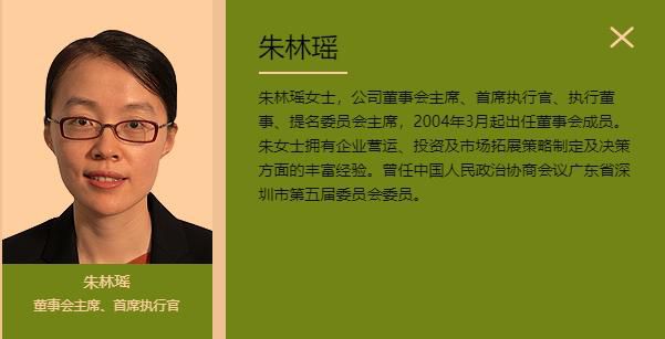截图自华宝国际控股有限公司官网。