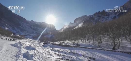 开年看消费 | 长白山：借助冬奥会契机设计个性化路线 促使冰雪旅游快速升温