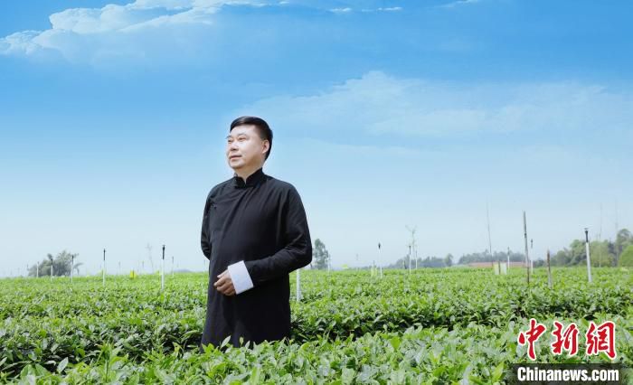 四川省工商联副主席、川茶集团董事长颜泽文。　受访者 供图