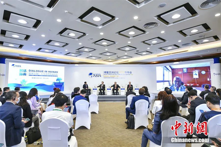 博鳌亚洲论坛2022年年会“对话海南”分论坛。中新社记者 骆云飞 摄