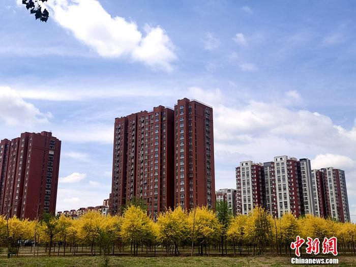 资料图。中新网记者 李金磊 摄
