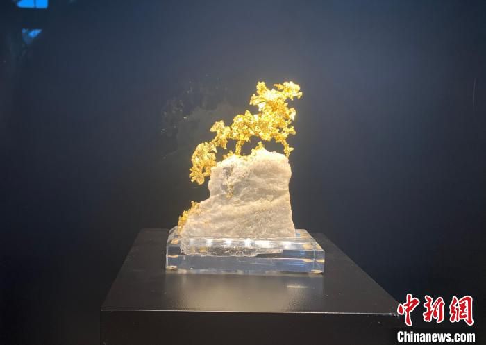 展品自然金（龙）。　鲁毅　摄