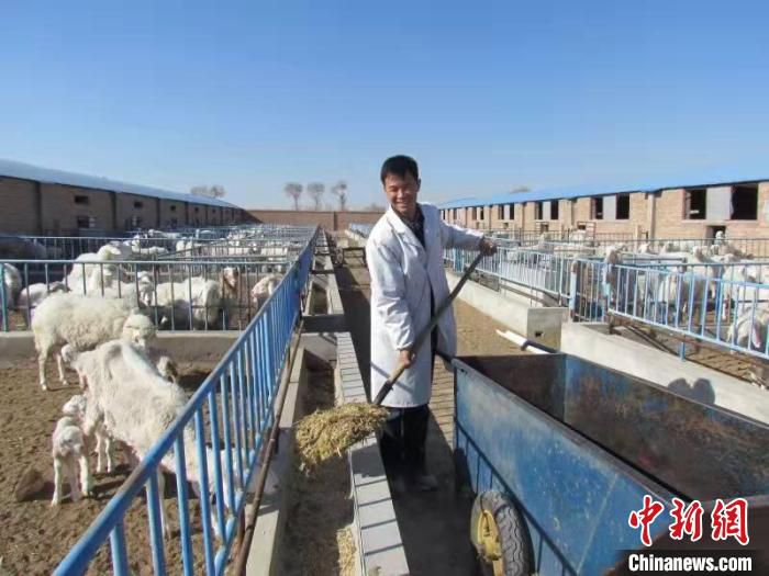 图为标准化养羊场。　马爱彬 摄