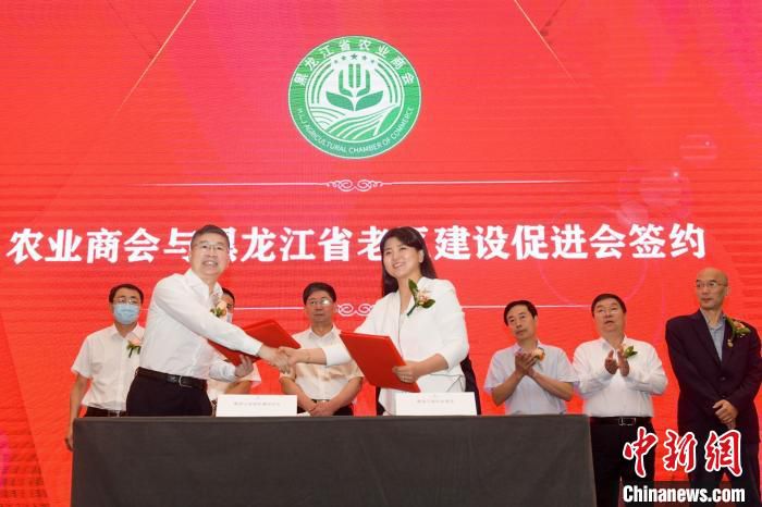 签约合作仪式 黑龙江省农业商会供图
