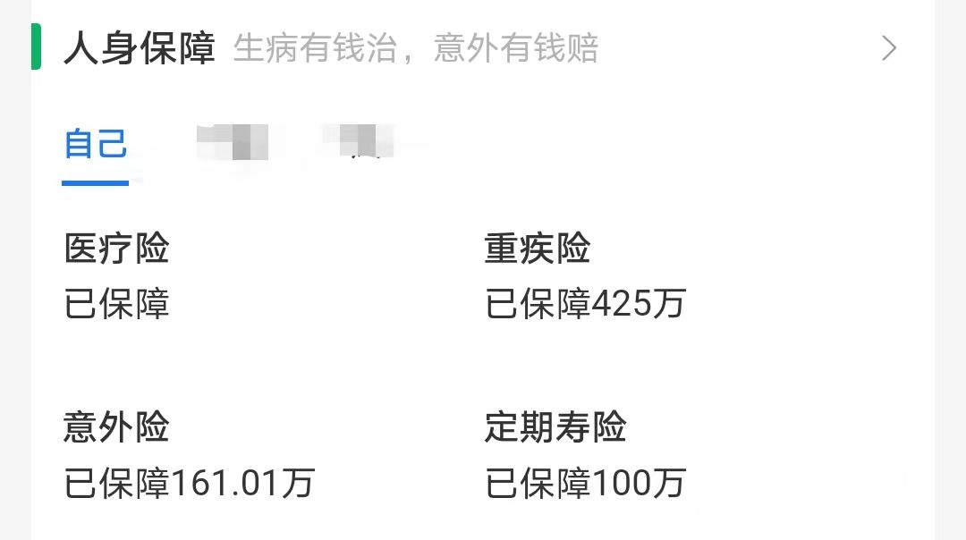 目前田迪在保的保险。图片来源：互联网保险平台