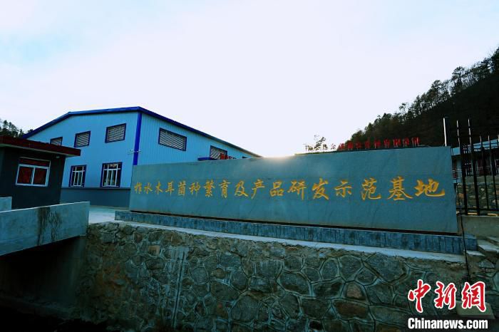 柞水木耳菌种繁育及产品研发示范基地。　 柞水县科技局供图