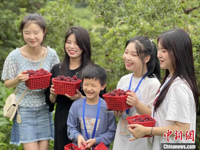 游客们走进杨梅山，穿梭在杨梅丛林中。　许梦娟 摄