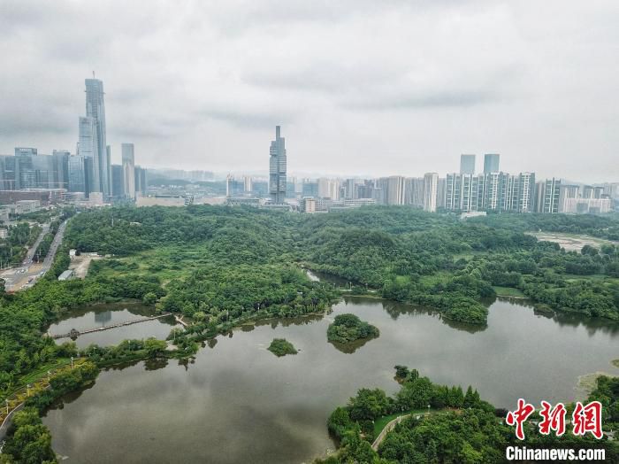图为贵阳市观山湖公园。　瞿宏伦 摄