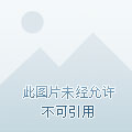 德甲-拜仁4-2不来梅豪取6连胜 莱万穆勒各入两球
