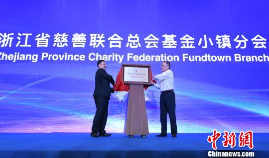 峰会上，浙江省慈善联合总会基金小镇分会正式揭牌成立。　王刚 摄
