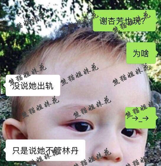 玩球头条：网曝林丹谢杏芳婚姻名存实亡 奥运时已知出轨