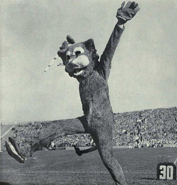 玩球头条：著名抗癌记者赛格去世 34年职业生涯献给NBA