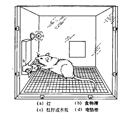 玩球头条：各省群众