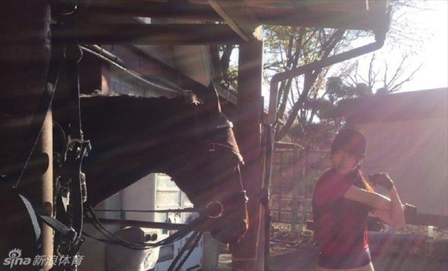 体育花边：清纯女优菅井友香献马术大片 学生制服清纯可人