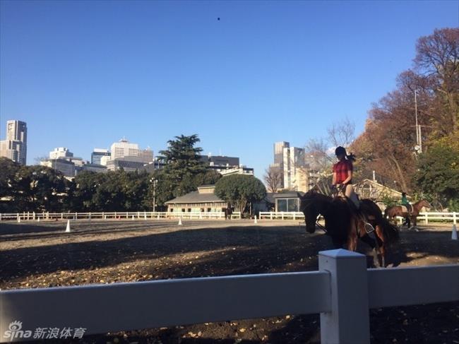 体育花边：清纯女优菅井友香献马术大片 学生制服清纯可人