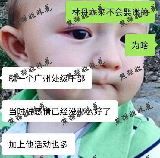 玩球头条：网曝林丹谢杏芳婚姻名存实亡 奥运时已知出轨
