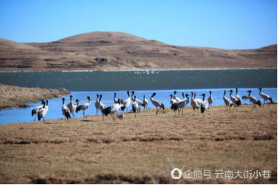 玩球资讯：再不看就晚了！这可能是国庆中秋黄金周的最强旅游攻略