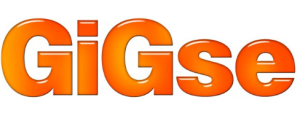 博彩小报：GiGse年度新兴公司最后入围者