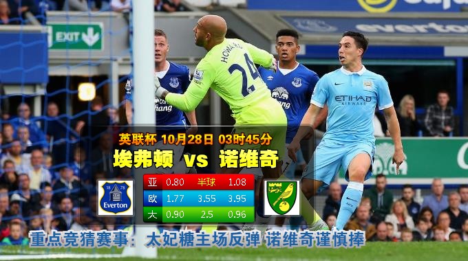 玩球网心水：英联杯　10月28日 3:45　埃弗顿 VS 诺维奇