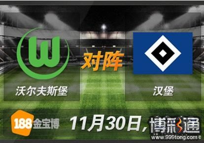 沃尔夫斯堡VS汉堡.JPG